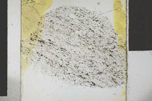 Plane Polarized, S27261