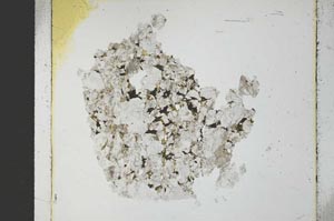 Plane Polarized, S27262