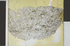 Plane Polarized, S27263