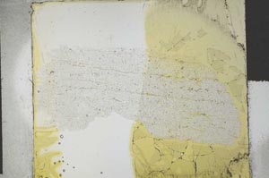 Plane Polarized, S27268