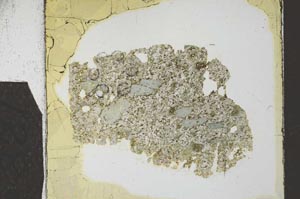 Plane Polarized, S27269
