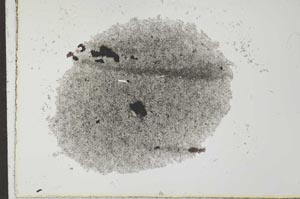 Plane Polarized, S27296