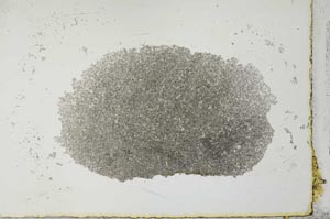 Plane Polarized, S27298
