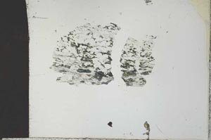 Plane Polarized, S27308