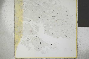 Plane Polarized, S27317/A