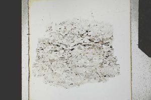 Plane Polarized, S27319