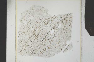 Plane Polarized, S27324
