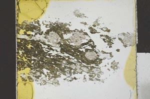 Plane Polarized, S27325
