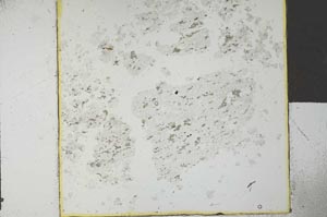 Plane Polarized, S27327