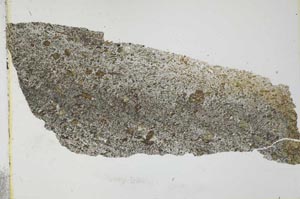 Plane Polarized, S27332