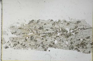 Plane Polarized, S27334
