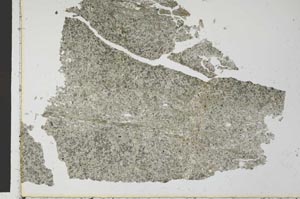 Plane Polarized, S27335