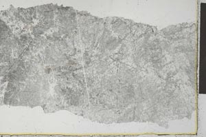 Plane Polarized, S27337