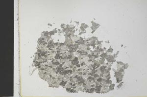 Plane Polarized, S27339