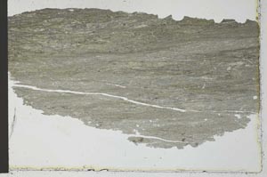 Plane Polarized, S27349