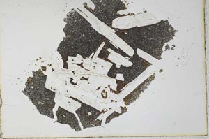 Plane Polarized, S27370