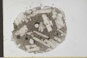 Plane Polarized, S27371