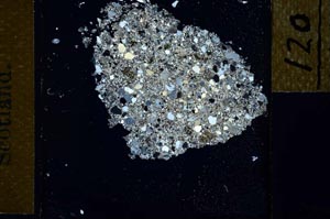 Cross Polarized, S27381