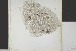 Plane Polarized, S27381