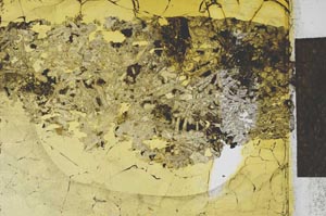 Plane Polarized, S27386