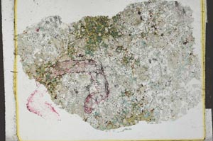 Plane Polarized, S27390