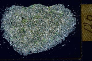 Cross Polarized, S27395