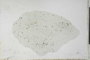 Plane Polarized, S27396