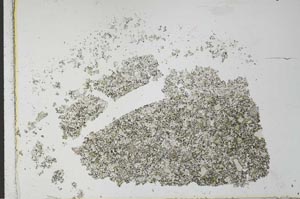 Plane Polarized, S27397