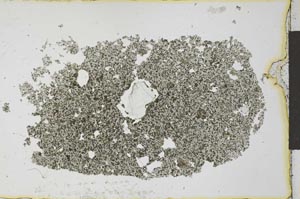 Plane Polarized, S27401
