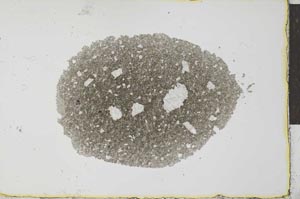 Plane Polarized, S27402