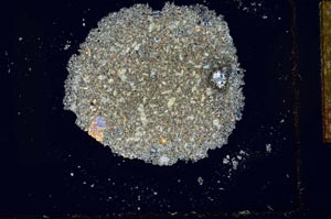 Cross Polarized, S27403