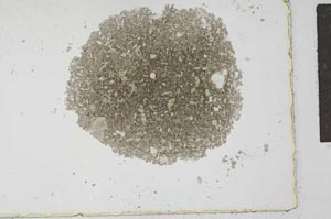 Plane Polarized, S27403