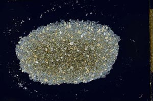 Cross Polarized, S27425