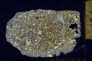 Cross Polarized, S27426