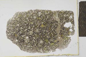 Plane Polarized, S27426