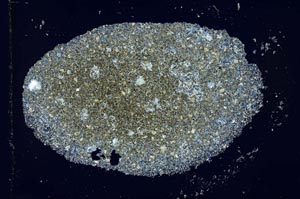 Cross Polarized, S27427