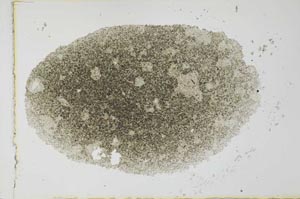 Plane Polarized, S27427