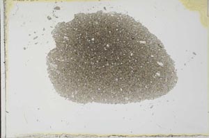Plane Polarized, S27465