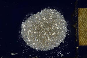 Cross Polarized, S27466