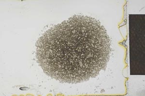 Plane Polarized, S27466