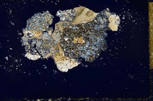 Cross Polarized, S27475