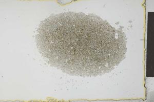 Plane Polarized, S27478