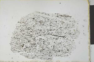 Plane Polarized, S27480