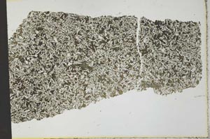 Plane Polarized, S27487