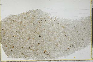 Plane Polarized, S27547