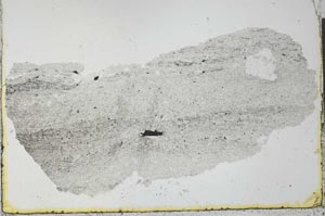 Plane Polarized, S27548