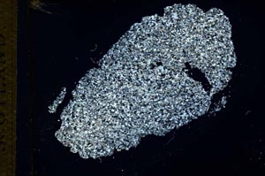 Cross Polarized, S27549