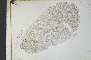 Plane Polarized, S27549