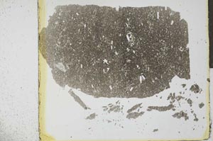 Plane Polarized, S27556