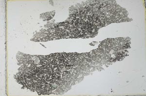 Plane Polarized, S27578